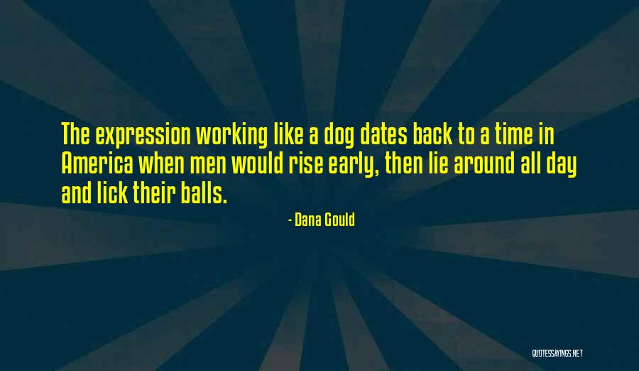 Early To Rise Quotes By Dana Gould