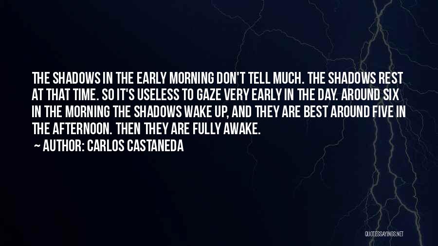 Early Wake Up Quotes By Carlos Castaneda