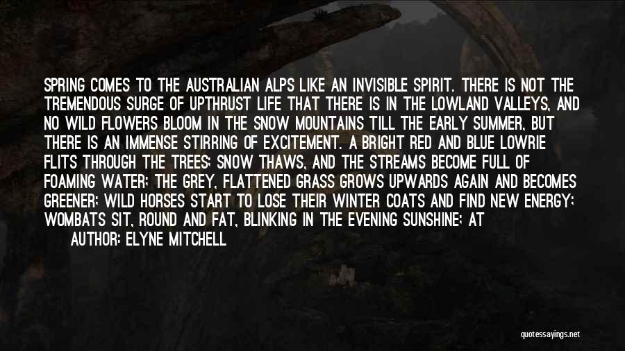 Early Winter Quotes By Elyne Mitchell Early Winter Quotes By Elyne Mitchell