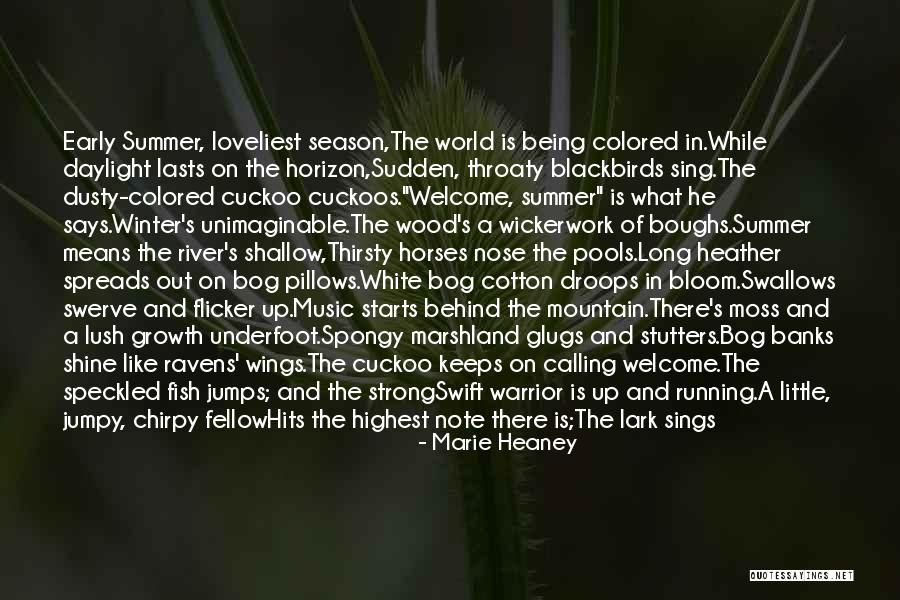 Early Winter Quotes By Marie Heaney