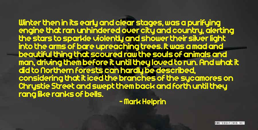 Early Winter Quotes By Mark Helprin