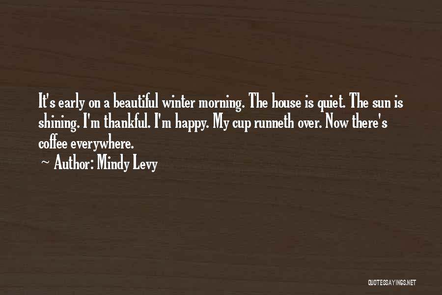 Early Winter Quotes By Mindy Levy