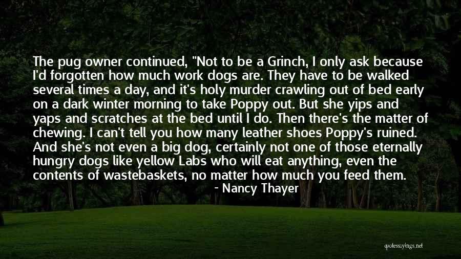 Early Winter Quotes By Nancy Thayer