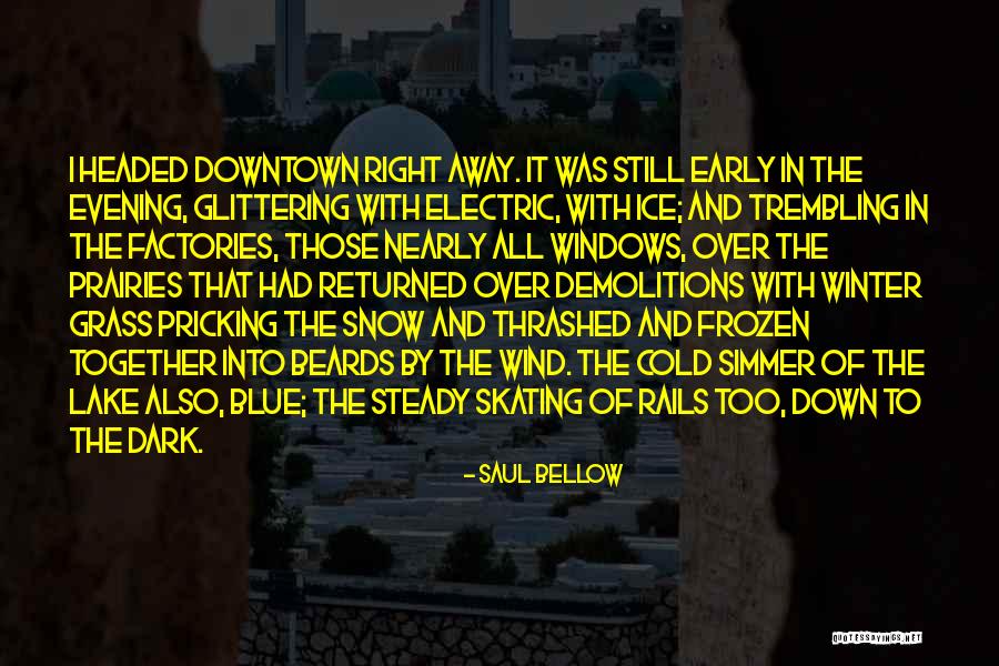 Early Winter Quotes By Saul Bellow