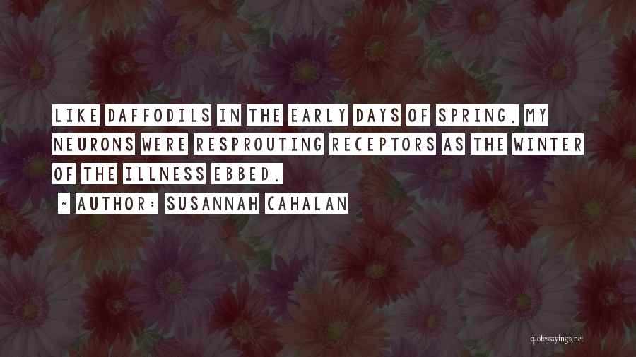 Early Winter Quotes By Susannah Cahalan