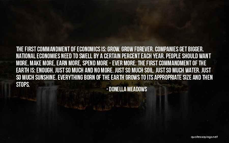 Earn More Spend More Quotes By Donella Meadows