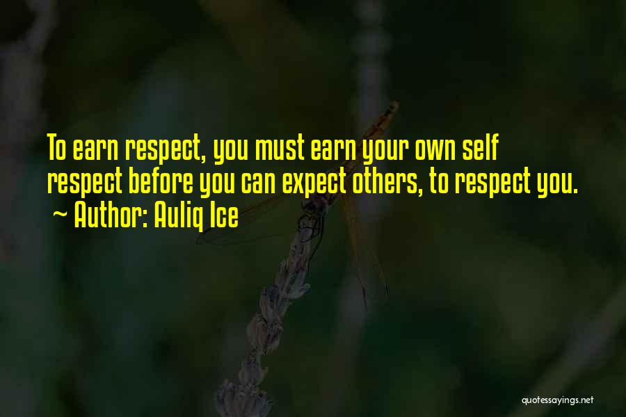 Earn Your Respect Quotes By Auliq Ice