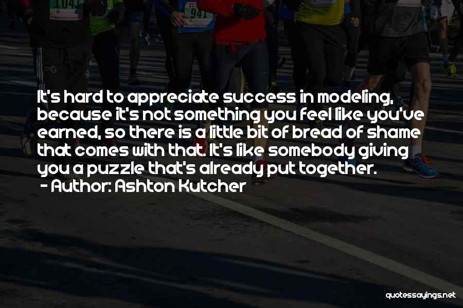 Earned Success Quotes By Ashton Kutcher