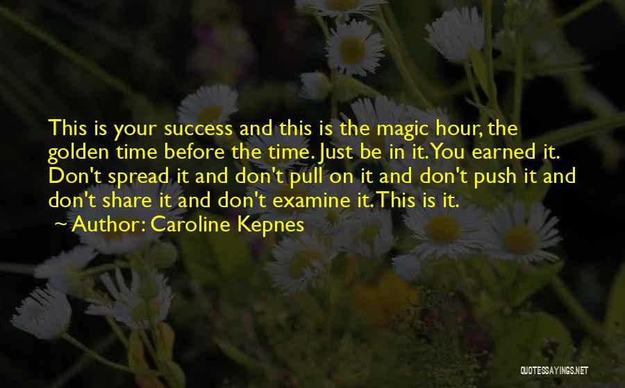 Earned Success Quotes By Caroline Kepnes