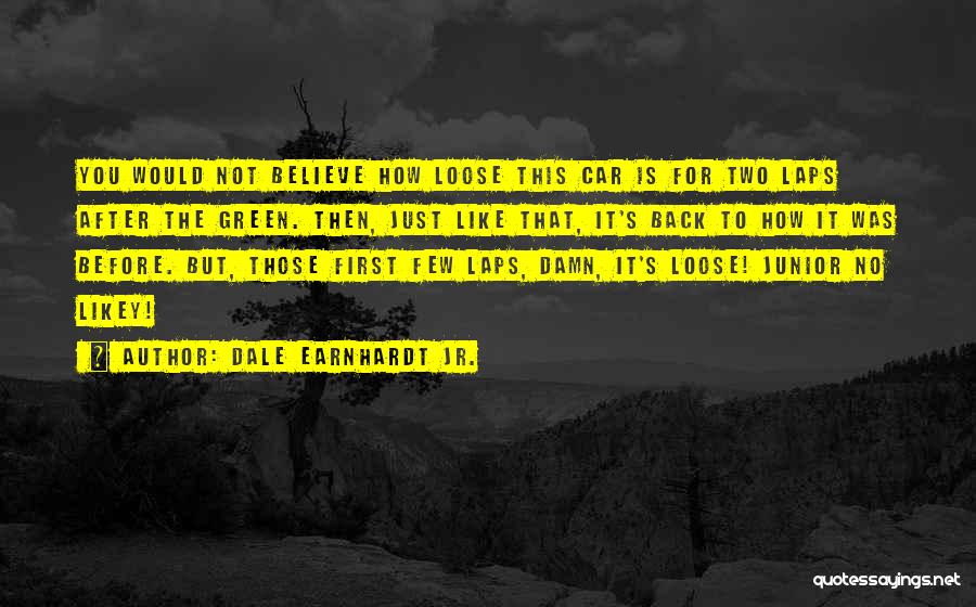 Earnhardt Quotes By Dale Earnhardt Jr.