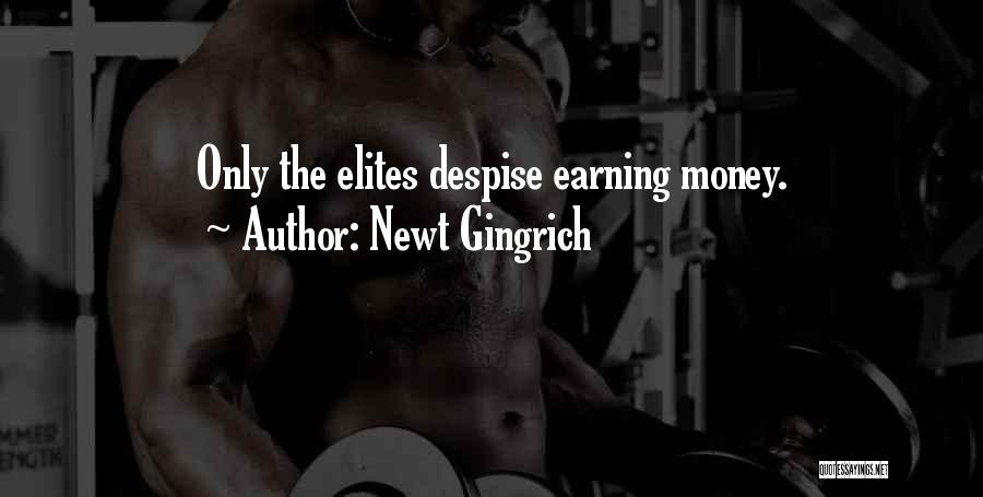 Earning Money Quotes By Newt Gingrich