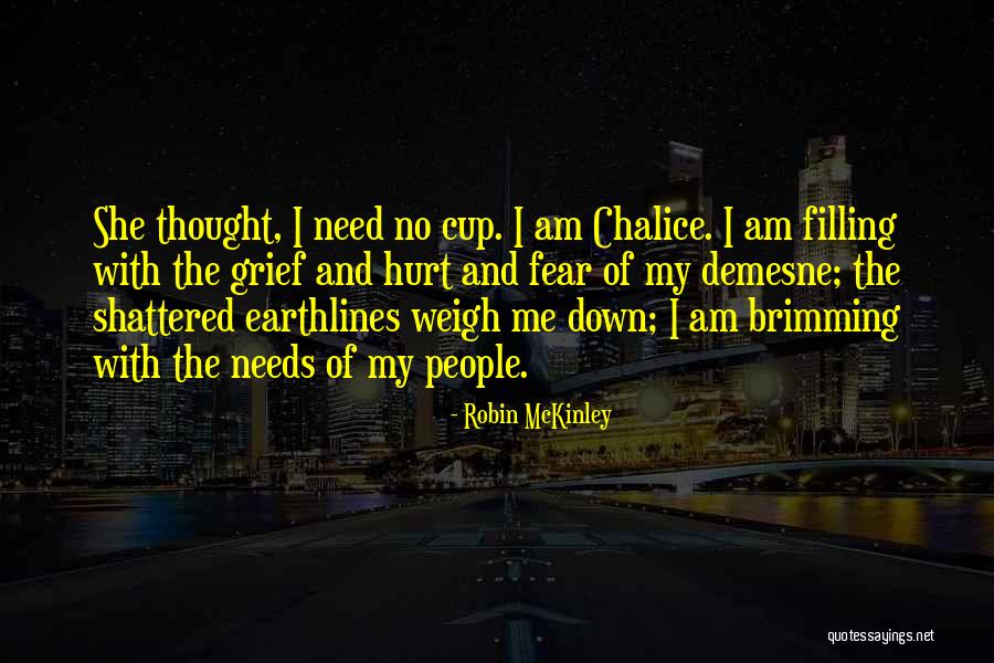 Earning Wings Quotes By Robin McKinley Earning Wings Quotes By Robin McKinley