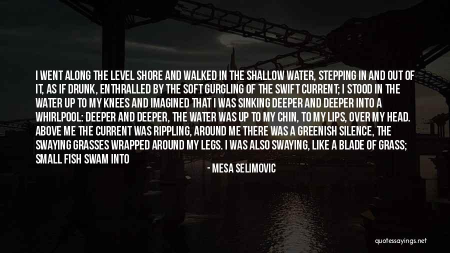 Earpieces For Singers Quotes By Mesa Selimovic Earpieces For Singers Quotes By Mesa Selimovic