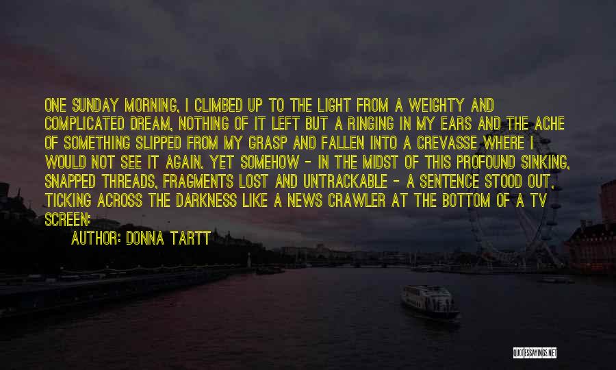 Ears Ringing Quotes By Donna Tartt