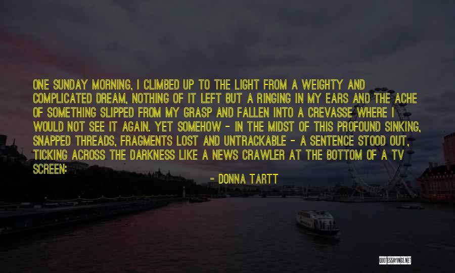 Ears Ringing Quotes By Donna Tartt