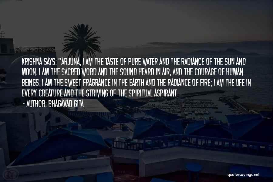 Earth Air Fire And Water Quotes By Bhagavad Gita