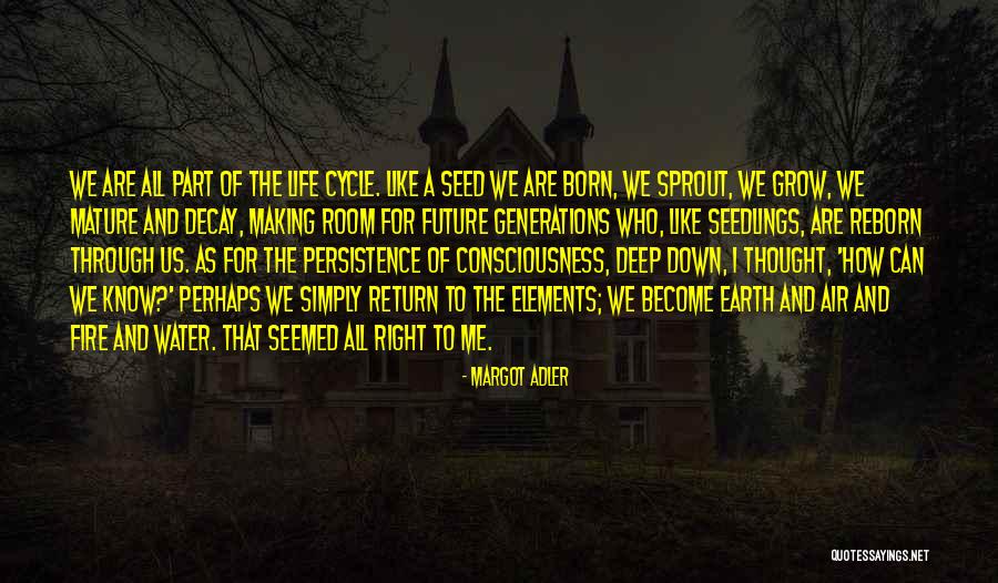 Earth Air Fire And Water Quotes By Margot Adler Earth Air Fire And Water Quotes By Margot Adler