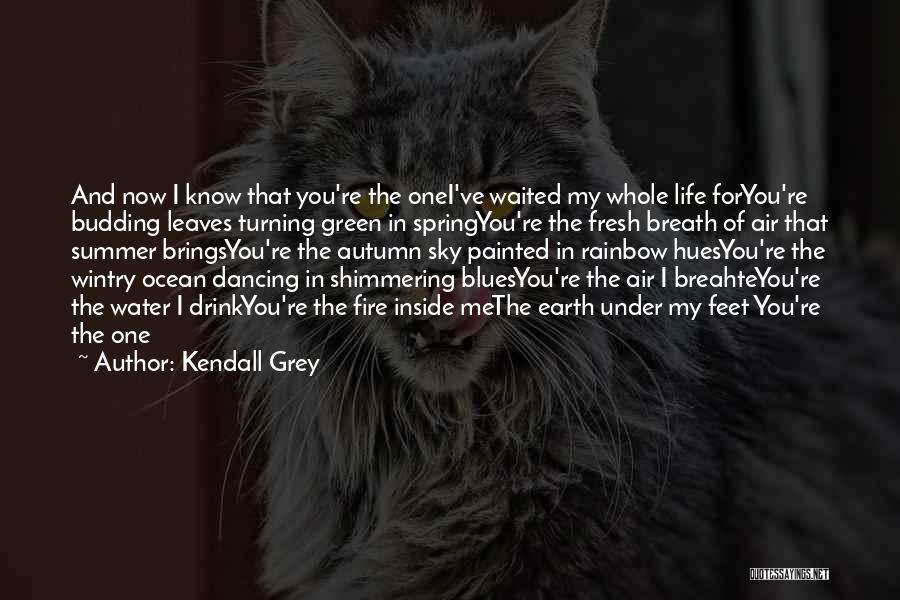 Earth Air Water Fire Quotes By Kendall Grey