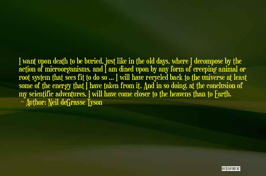 Earth And Death Quotes By Neil DeGrasse Tyson
