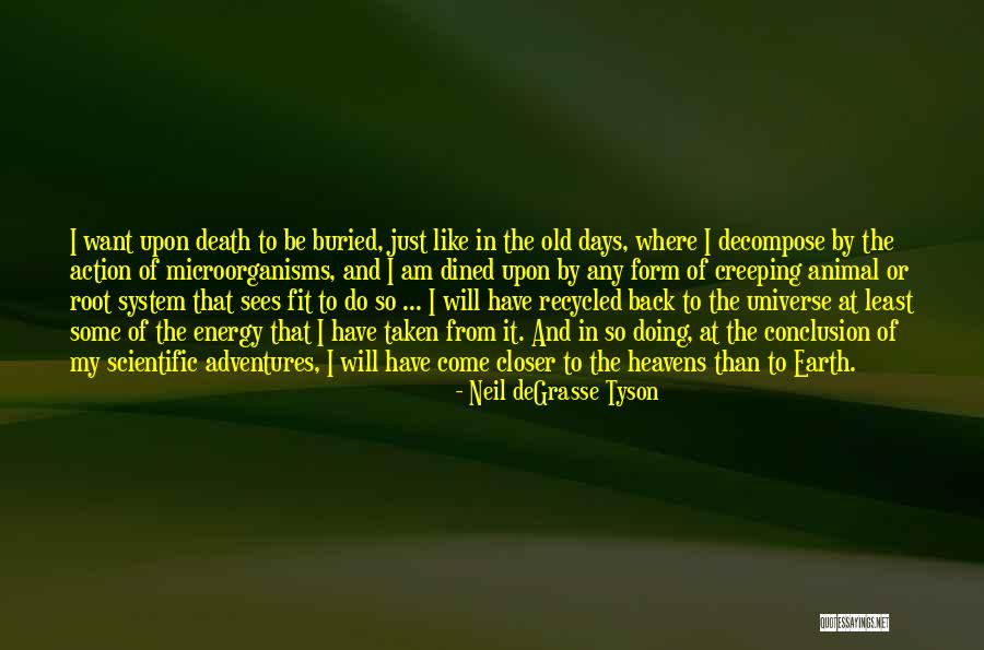 Earth And Death Quotes By Neil DeGrasse Tyson