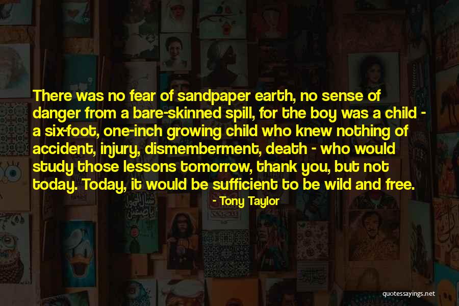 Earth And Death Quotes By Tony Taylor