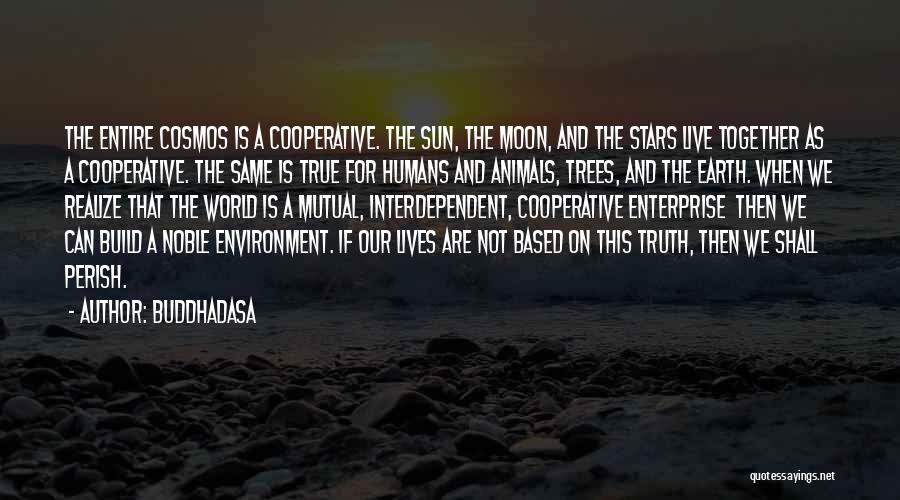 Earth And Humans Quotes By Buddhadasa