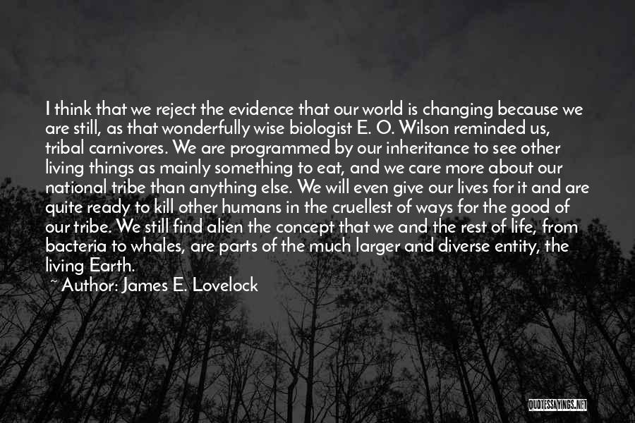 Earth And Humans Quotes By James E. Lovelock