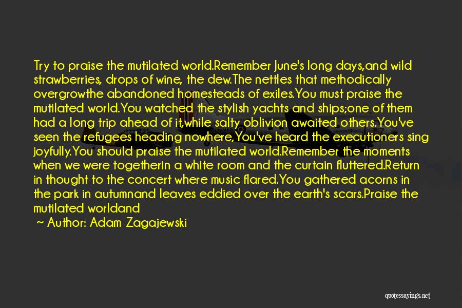 Earth And Music Quotes By Adam Zagajewski