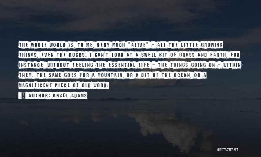 Earth And Ocean Quotes By Ansel Adams