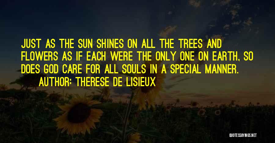 Earth And Sun Quotes By Therese De Lisieux