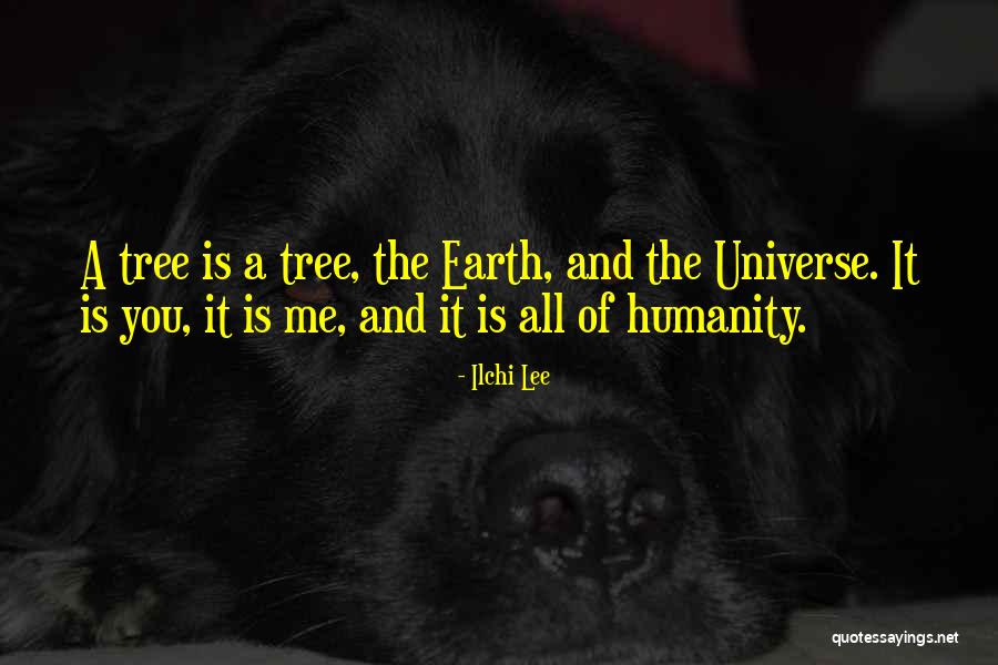 Earth And The Universe Quotes By Ilchi Lee Earth And The Universe Quotes By Ilchi Lee