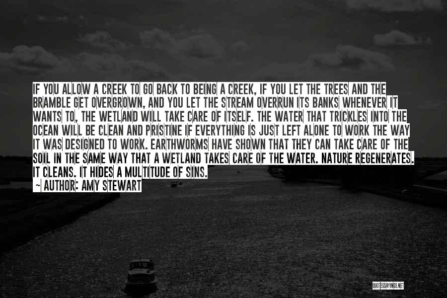 Earth And Water Quotes By Amy Stewart