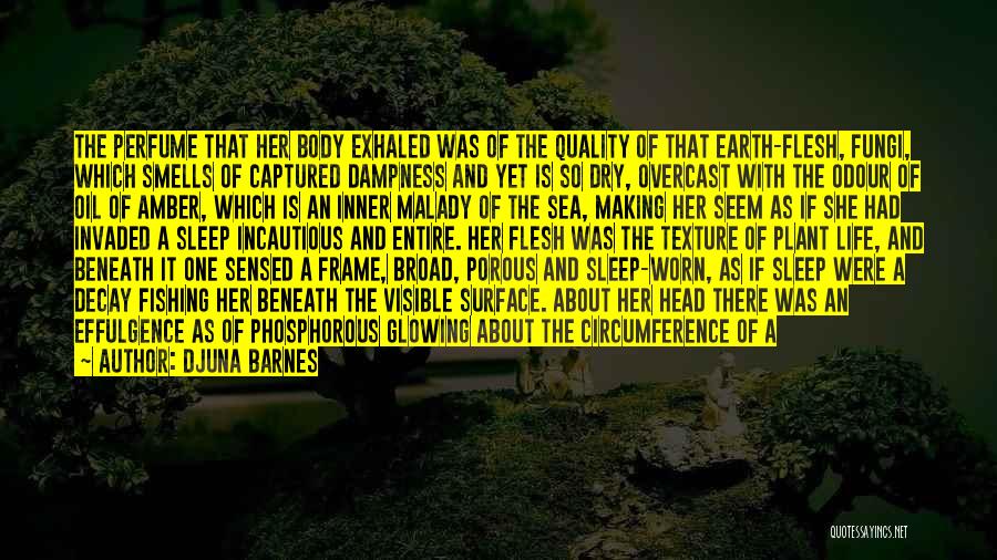 Earth And Water Quotes By Djuna Barnes