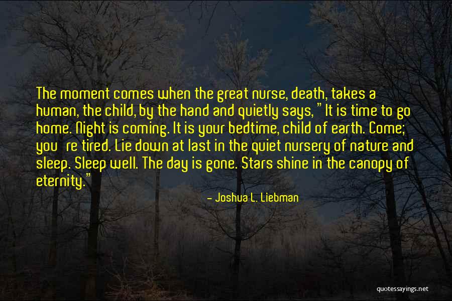 Earth Day Nature Quotes By Joshua L. Liebman