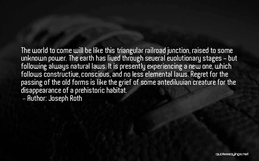 Earth Elemental Quotes By Joseph Roth