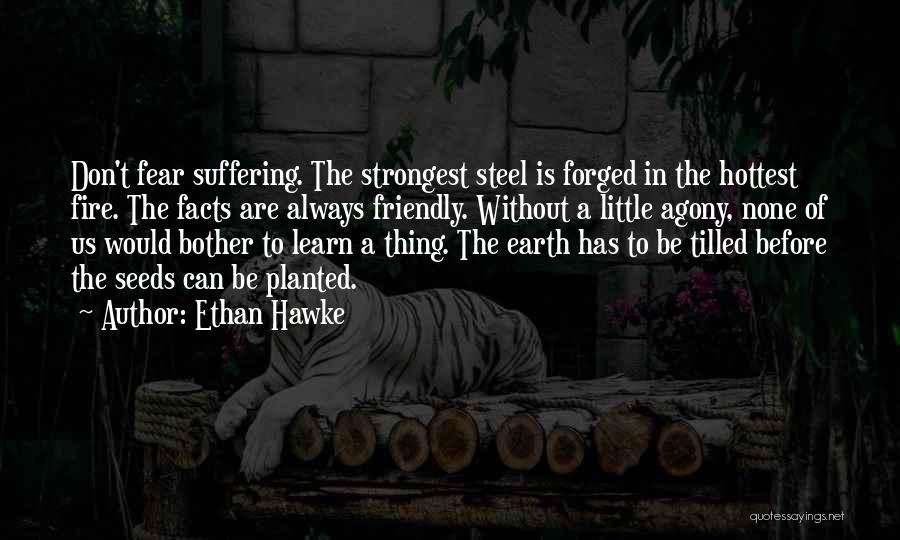 Earth Friendly Quotes By Ethan Hawke
