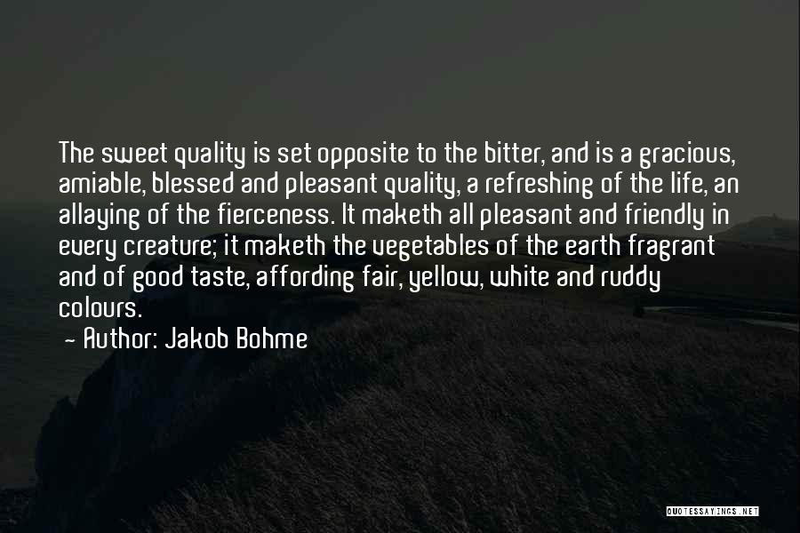 Earth Friendly Quotes By Jakob Bohme