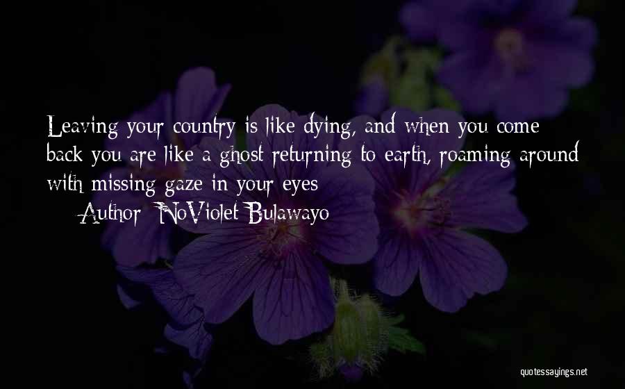 Earth Is Dying Quotes By NoViolet Bulawayo