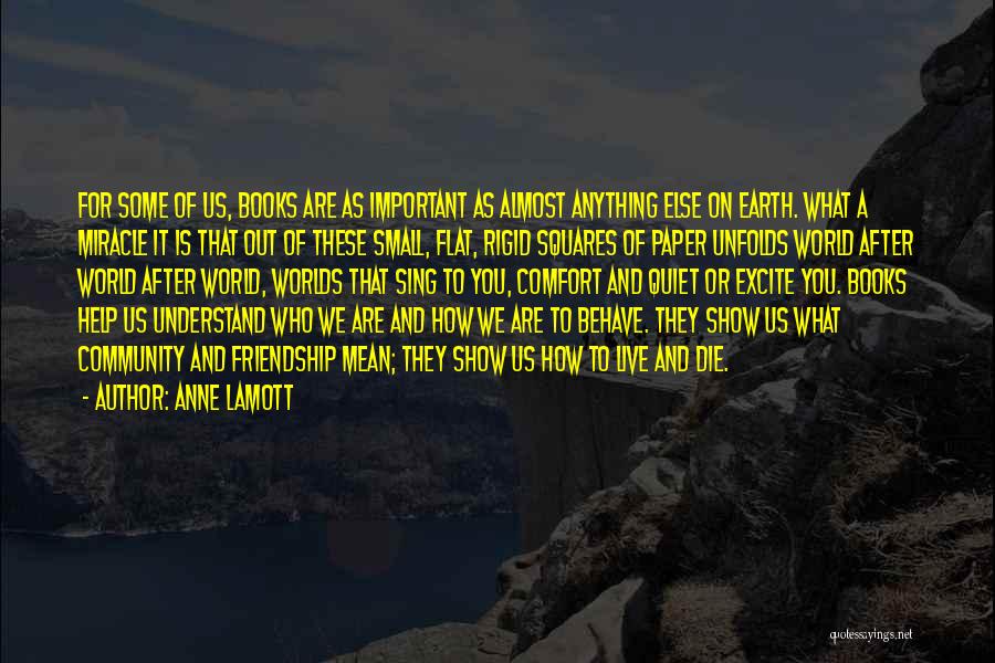 Earth Is Flat Quotes By Anne Lamott