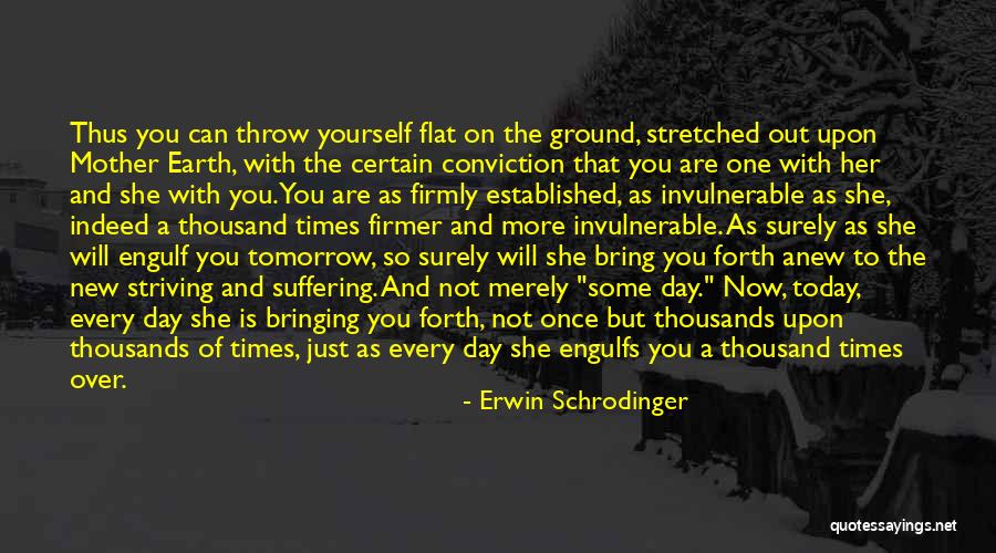 Earth Is Flat Quotes By Erwin Schrodinger