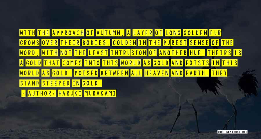 Earth Layer Quotes By Haruki Murakami