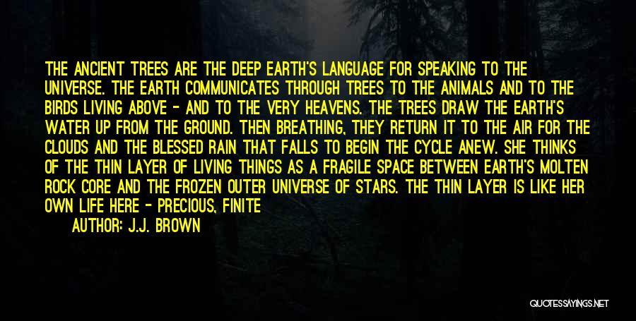 Earth Layer Quotes By J.J. Brown