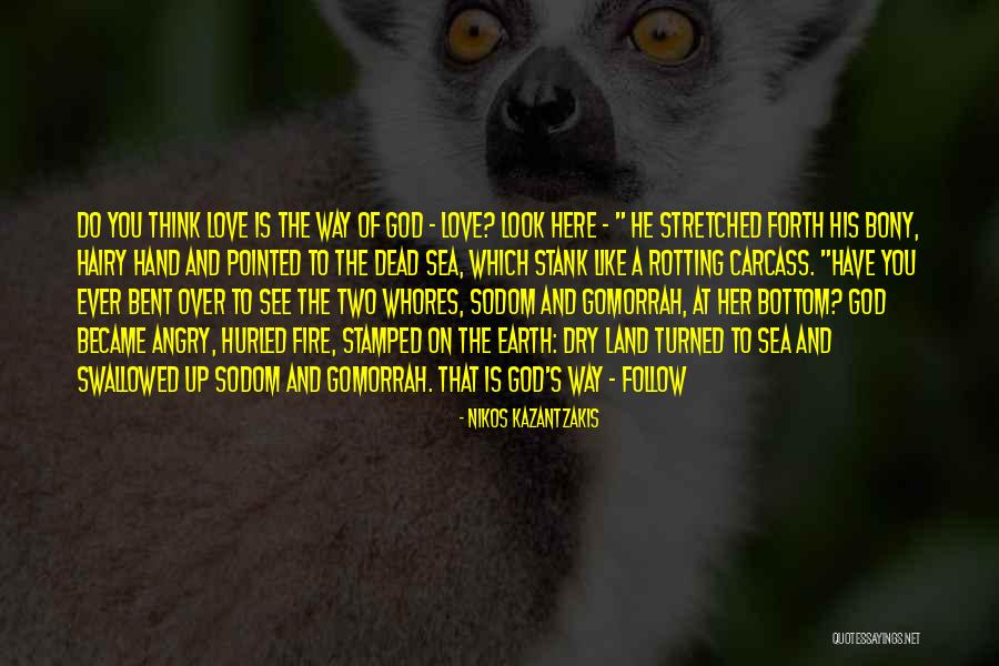 Earth Look Up Quotes By Nikos Kazantzakis Earth Look Up Quotes By Nikos Kazantzakis