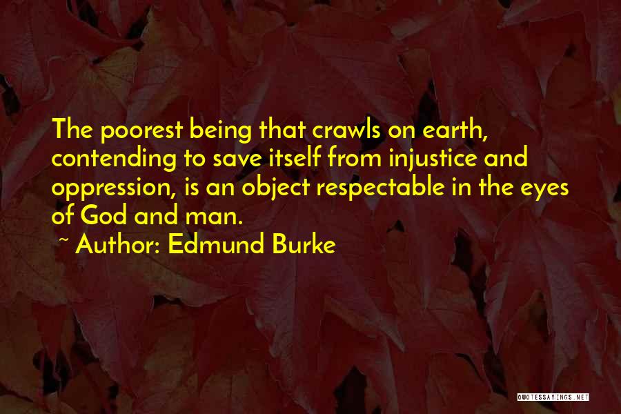 Earth Save Quotes By Edmund Burke