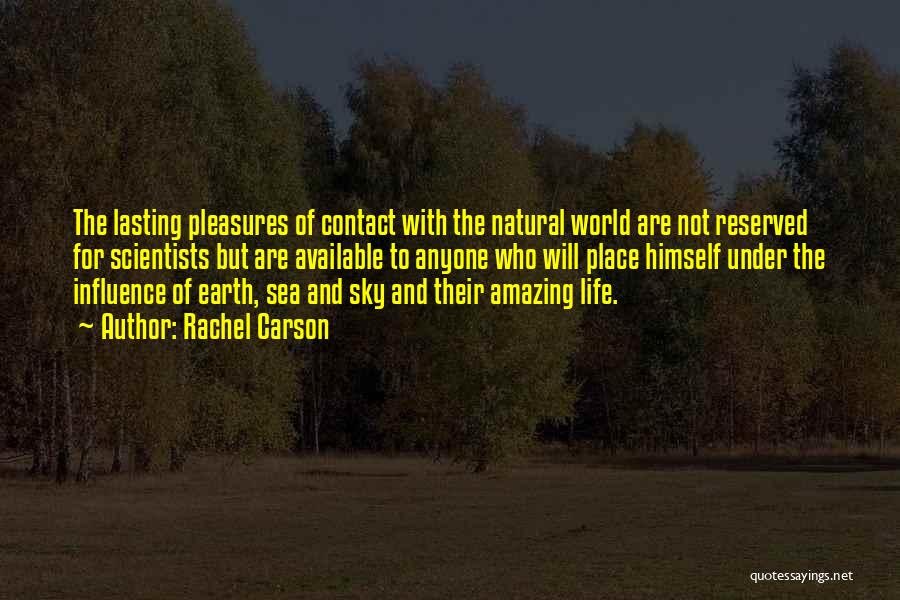 Earth Sea Sky Quotes By Rachel Carson