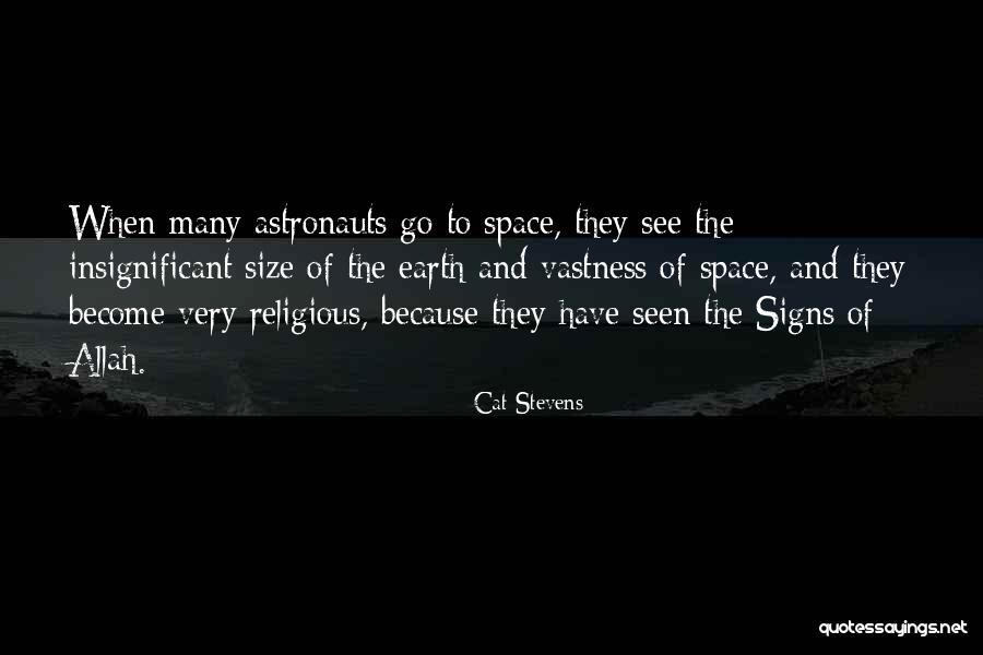 Earth Signs Quotes By Cat Stevens Earth Signs Quotes By Cat Stevens