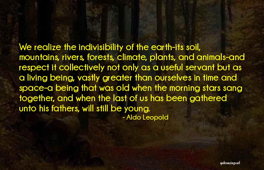 Earth Soil Quotes By Aldo Leopold