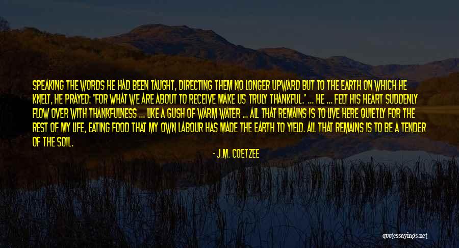 Earth Soil Quotes By J.M. Coetzee Earth Soil Quotes By J.M. Coetzee