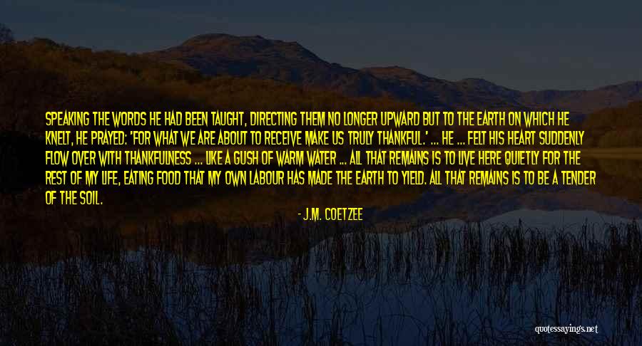 Earth Soil Quotes By J.M. Coetzee