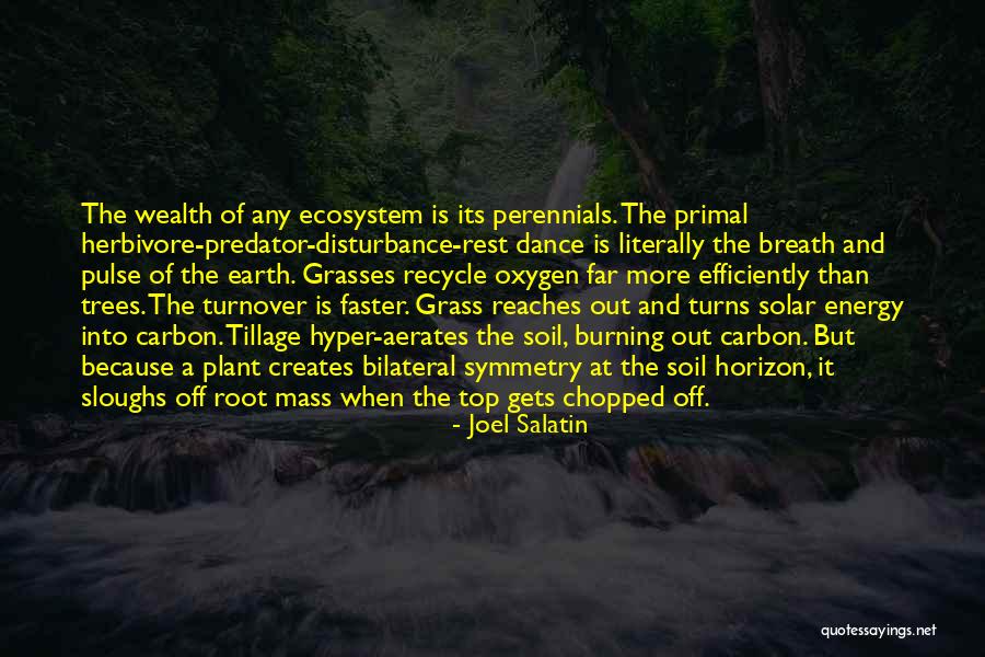 Earth Soil Quotes By Joel Salatin